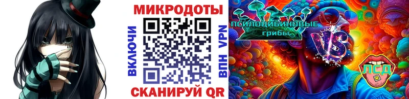 Псилоцибиновые грибы мицелий  Славгород 